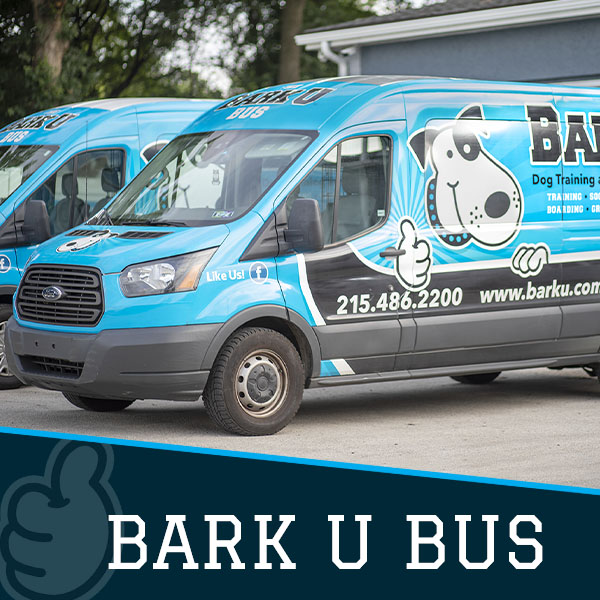 Services for Bark U