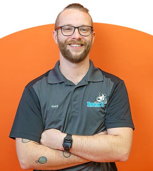 Cory Wayne Manager